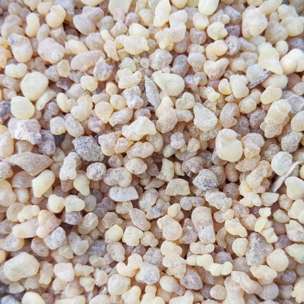 kadidlo boswellia serrata