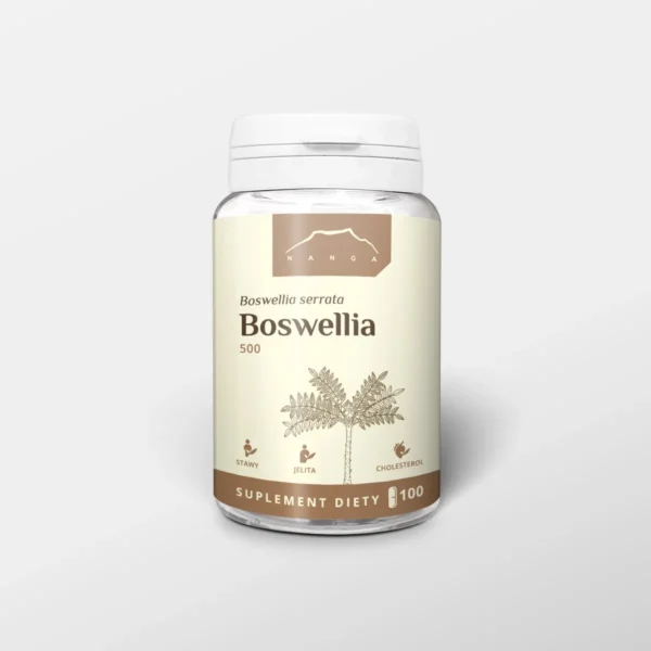 Boswellia 500mg, výživový doplnok z kadidla, 100 kapsúl