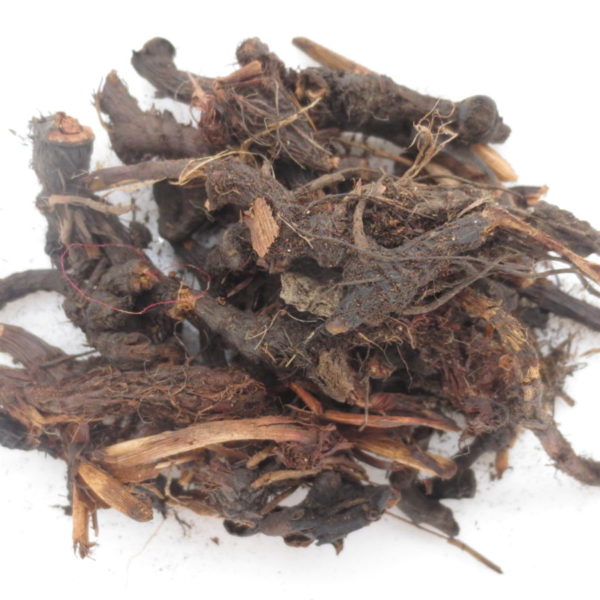 Piri-piri (Cyperus articulatus), korienky, 15g
