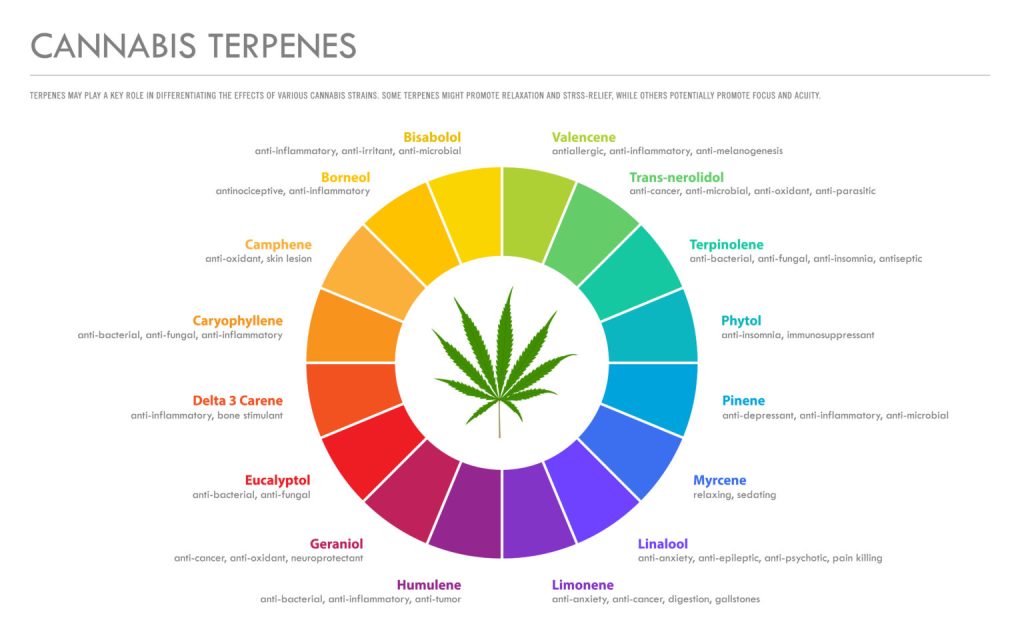 Cannabis Terpene Wheel