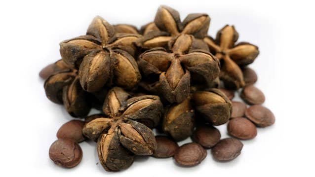 sacha inchi omega 3 6 9 amazon andes herbariumprojekt plody