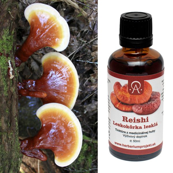 REISHI,  vitalita a imunita, tinktúra, 50ml