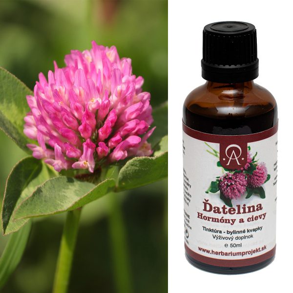 Ďatelina - hormóny a cievy, tinktúra, 50ml