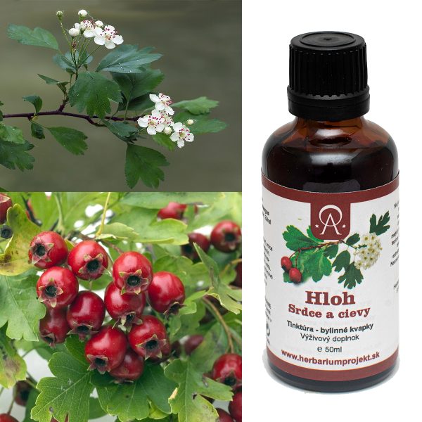 Hloh - srdce a cievy, tinktúra, 50ml