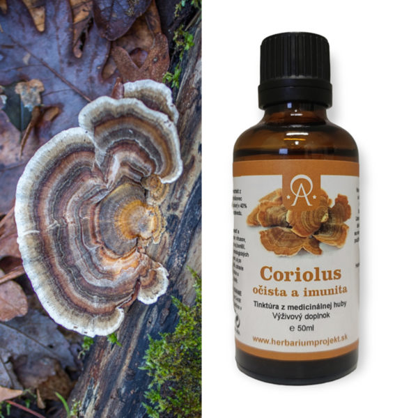 Coriolus, očista a imunita, tinktúra z medicinálnej huby, 50ml
