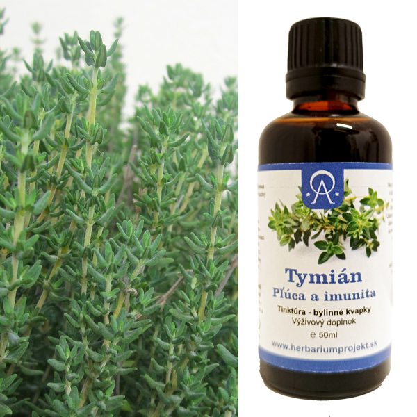 Tymián - pľúca a imunita, tinktúra, 50ml