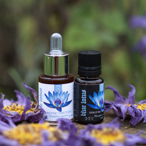 Blue lotus spagyrika