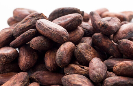 Cacao beans nibs nutritional information calories