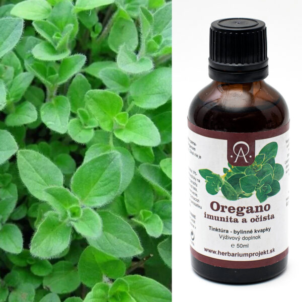 Oregano (grécky pamajorán) - imunita a očista, tinktúra, 50ml