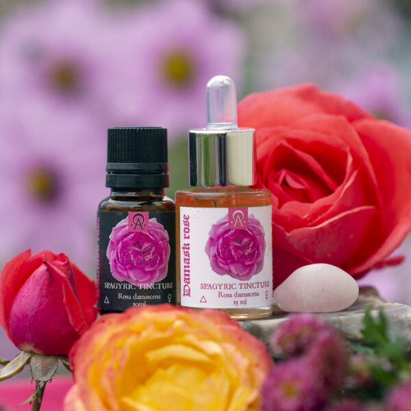 DAMASK ROSE, spagyric tincture