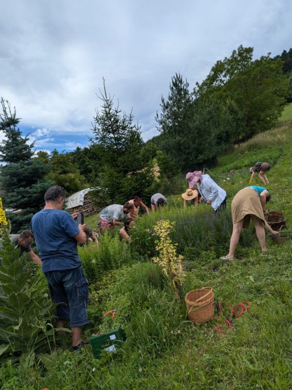 Spolu na záhrade 14 Stretnutie na farme